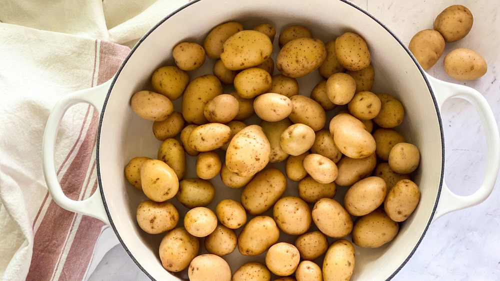 fingerling potatoes in pot