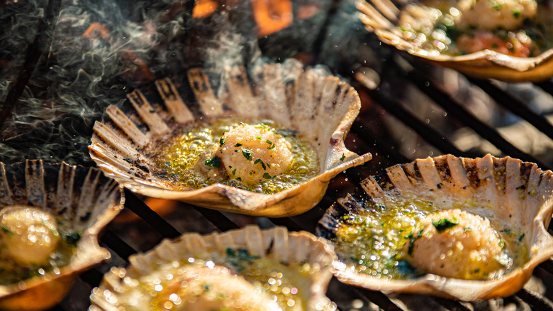 grilled scallops