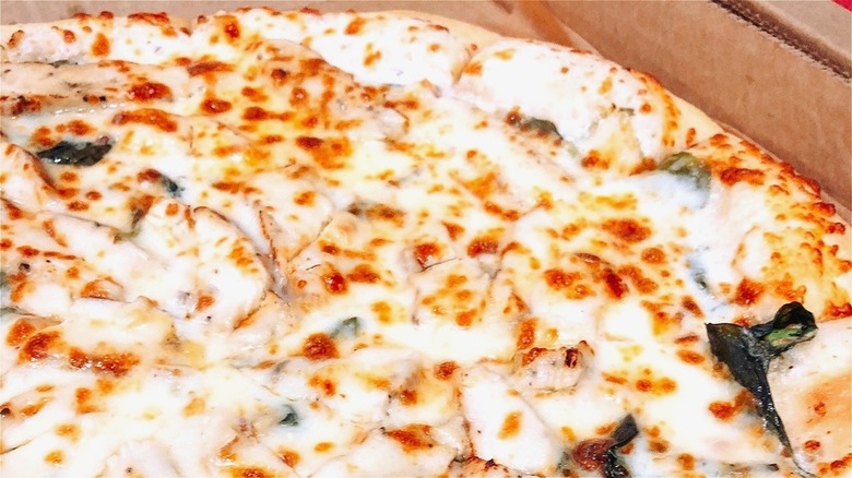 Casey's Chicken Alfredo pizza