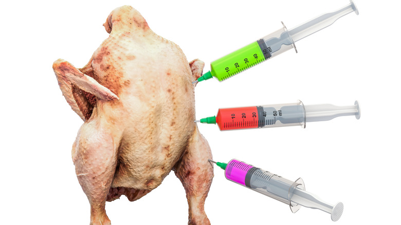 Chicken being injected with syringes