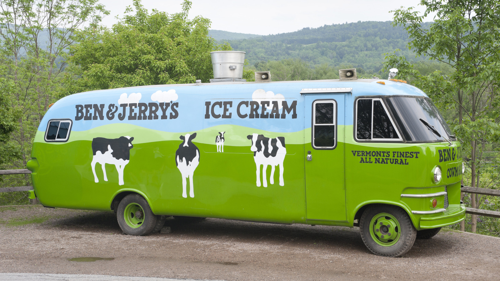 Do The Dairy Cows For Ben & Jerry's Really Get Massages?