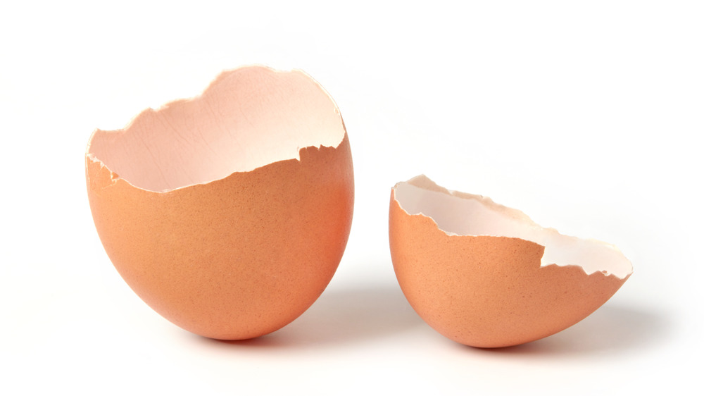 Broken, empty eggshells