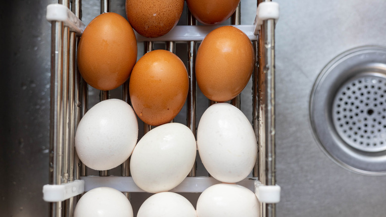 Washed eggs in sink