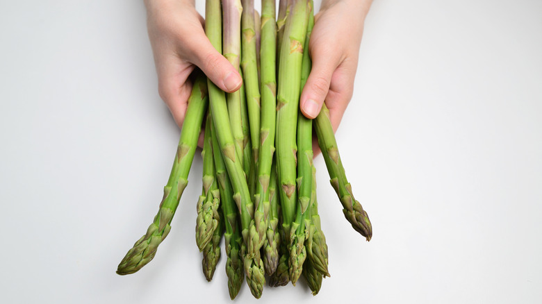 A person holding asparagus stalks