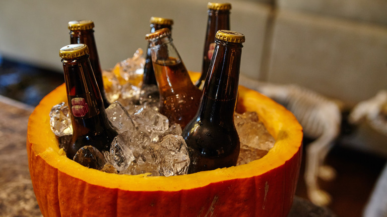 Beer bottles in pumpkin cooler