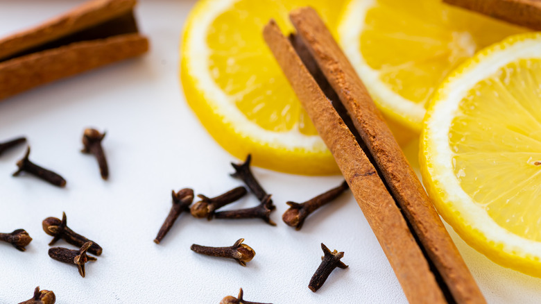 Cinnamon stick with lemons and cloves