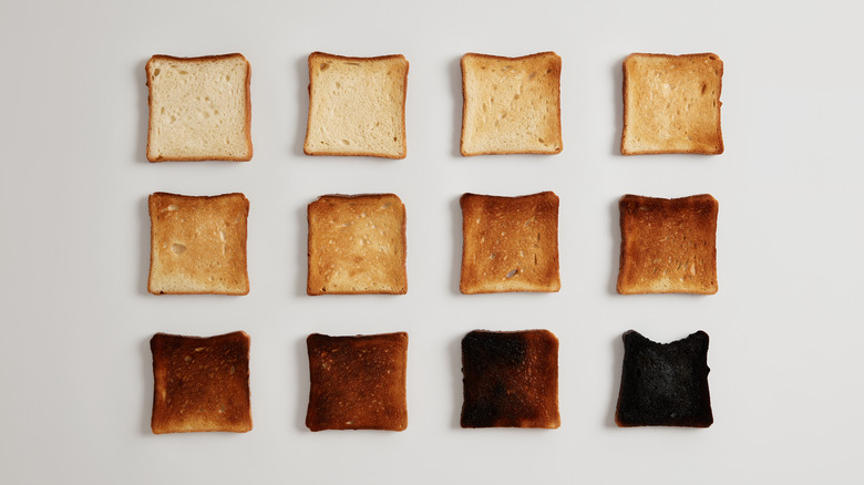 Slices of toasted bread