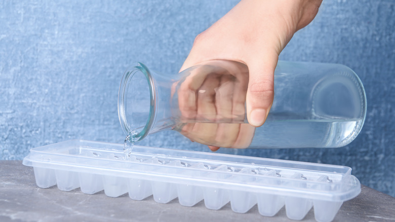 Pouring water into ice tray