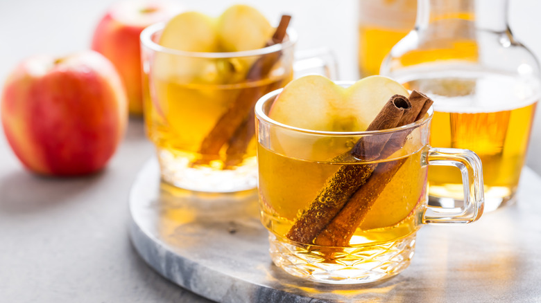 Cider cocktail with cinnamon