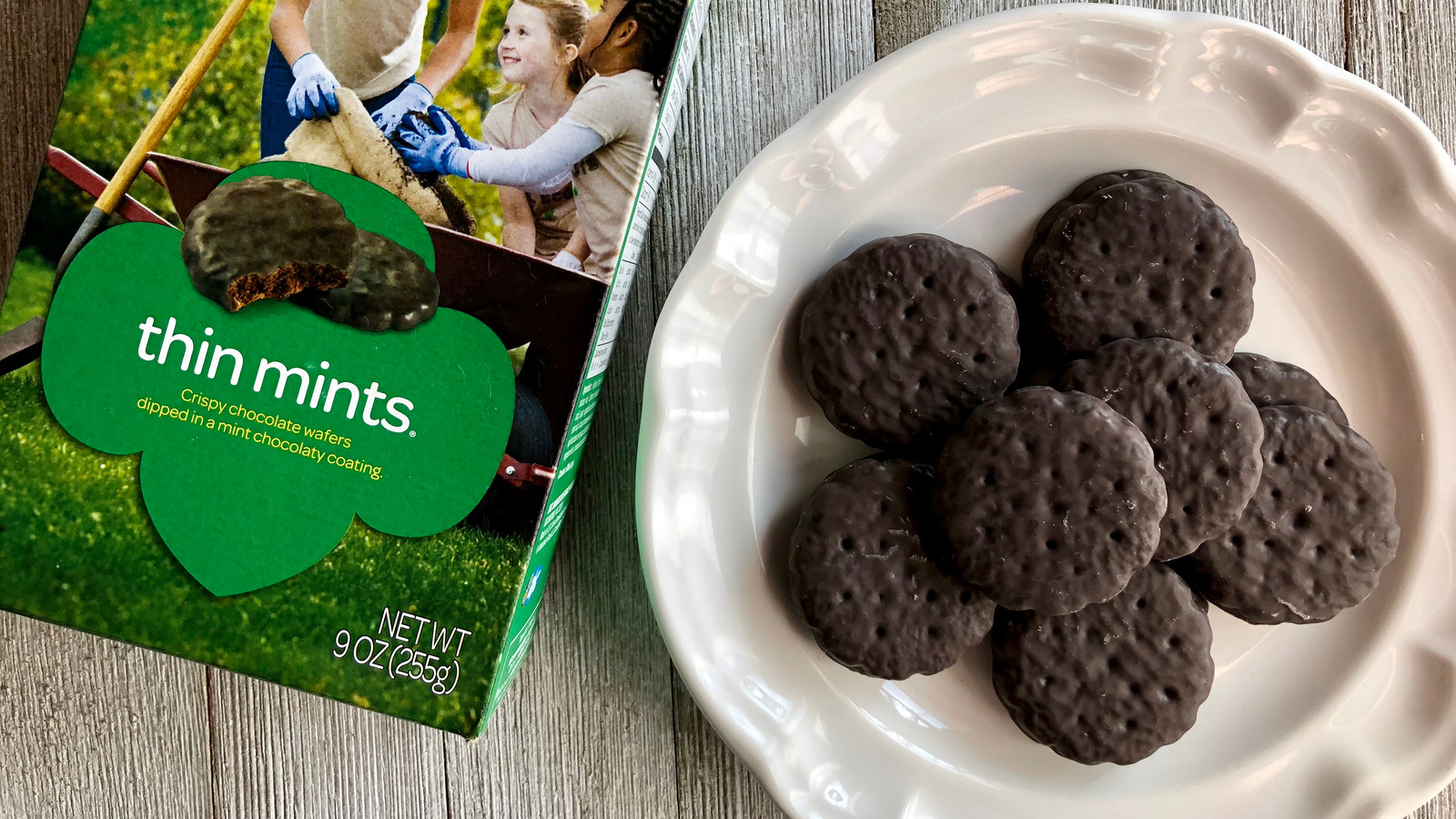 https://www.mashed.com/img/gallery/dont-panic-but-theres-a-girl-scouts-thin-mints-seasoning-blend-now/l-intro-1678811762.jpg