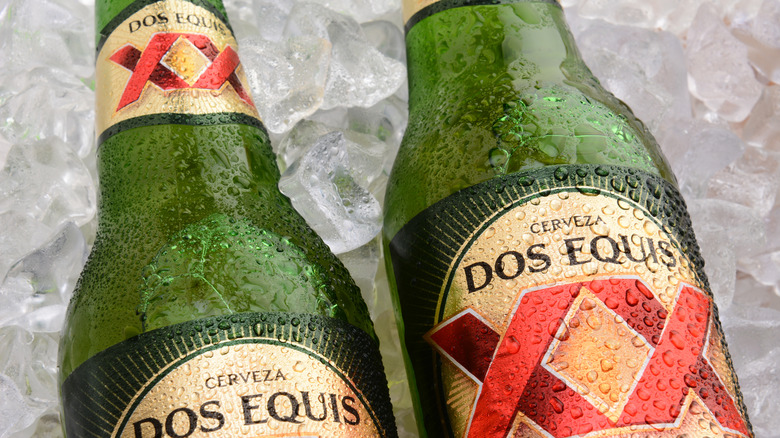 Dos Equis beer bottles