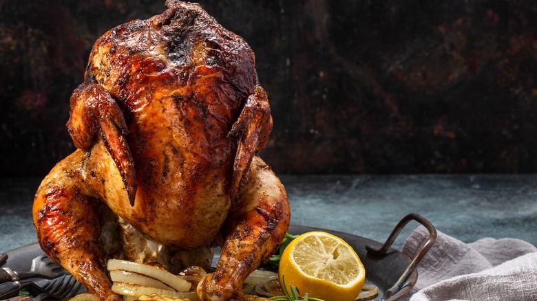 Chicken standing on a can