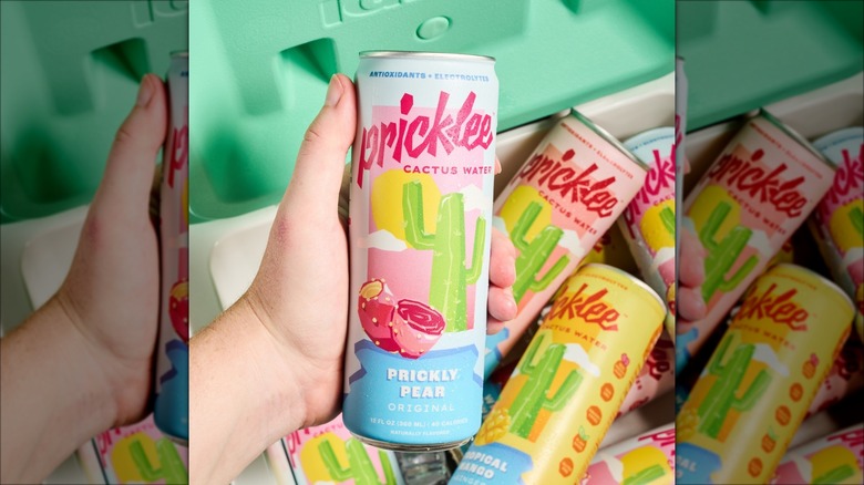 Pricklee Cactus Water cans