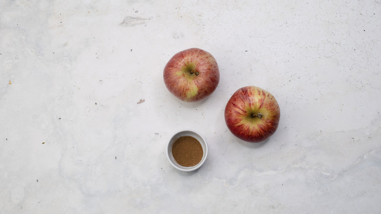 air fryer apple chips ingredients