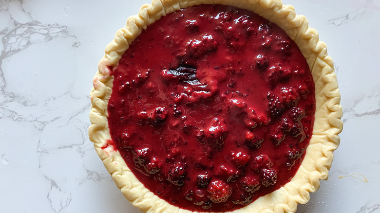 Easy Blackberry Pie in crust