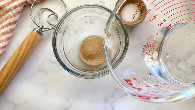 water and yeast in bowl 