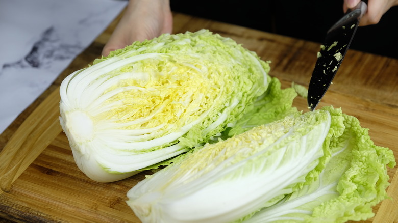 Slicing napa cabbage in quarters