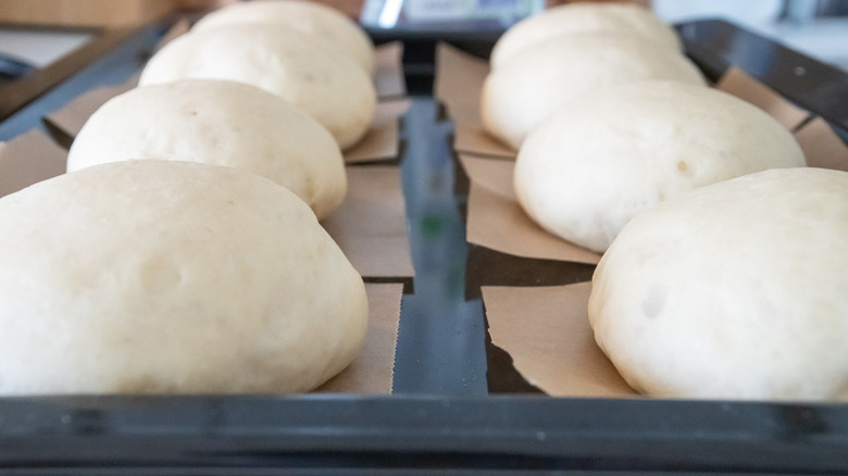 12 dough balls on parchment paper on a baking sheet