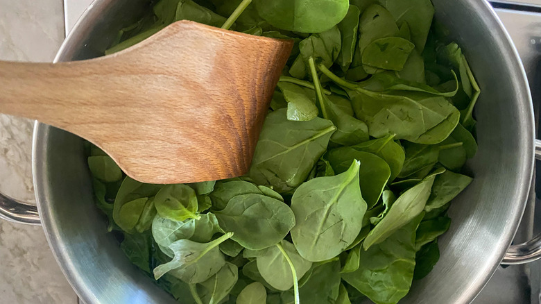 fresh spinach in pot