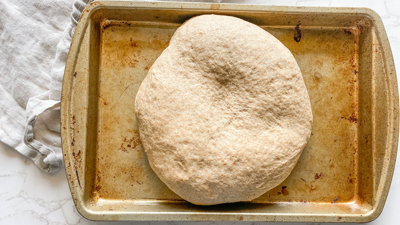 risen dough in pan