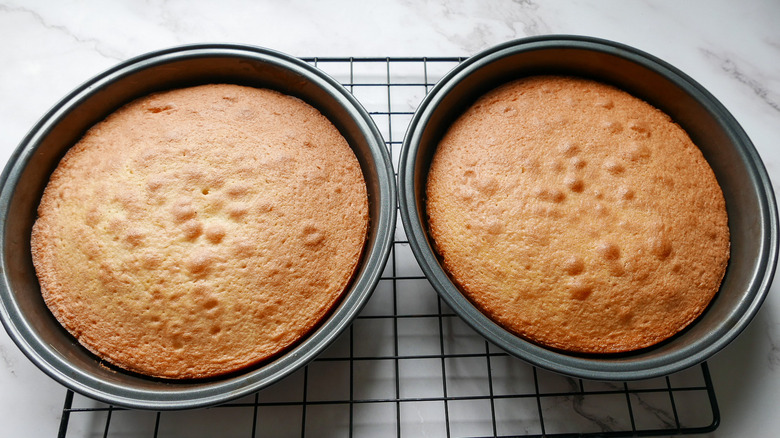 baked cake halves