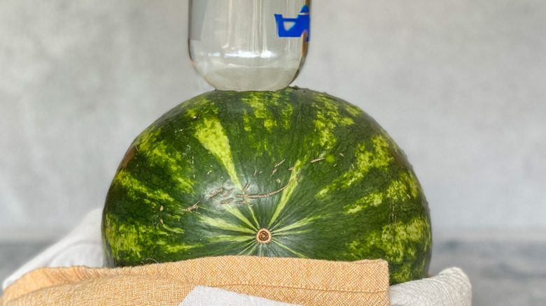 vodka bottle in watermelon 