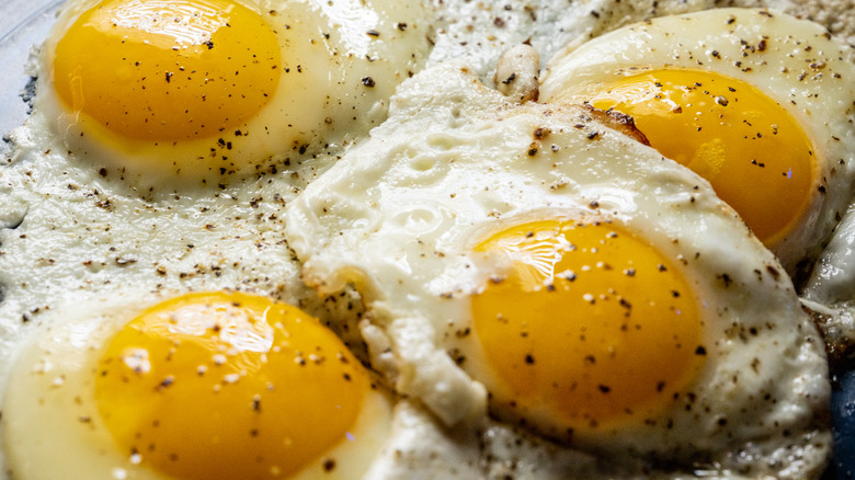 closeup four fried eggs