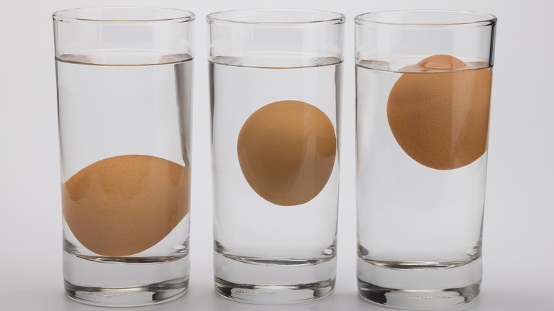 egg glass water