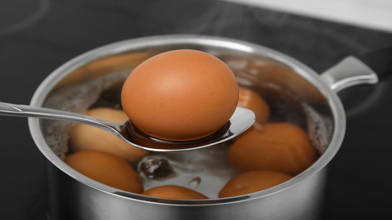 boiled eggs in pot