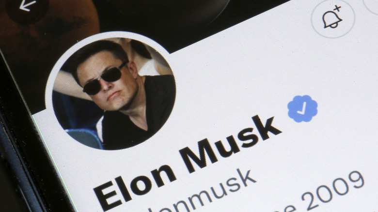 Elon Musk twitter screen capture