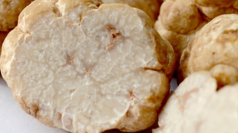 White truffles on white background