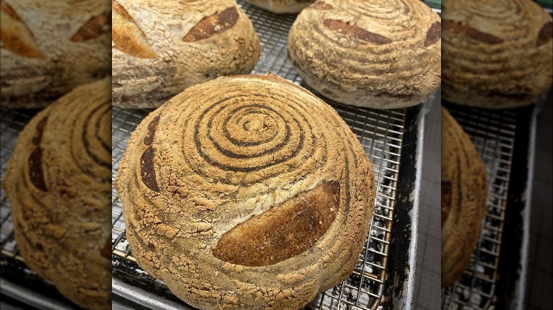 Cooling sourdough loaves