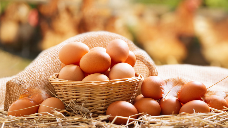 Eggs in wicker basket