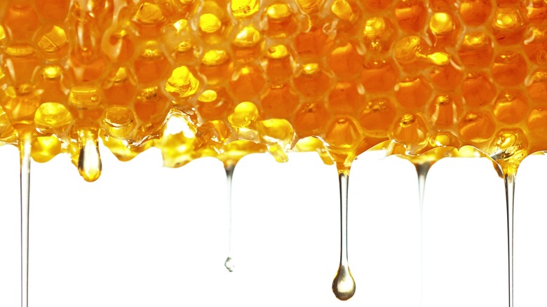 Honey dripping from honeycomb