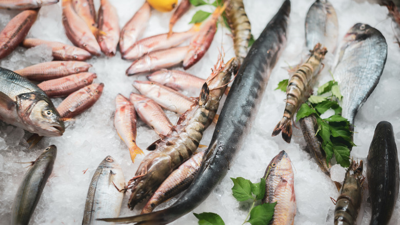 Seafood ready to cook