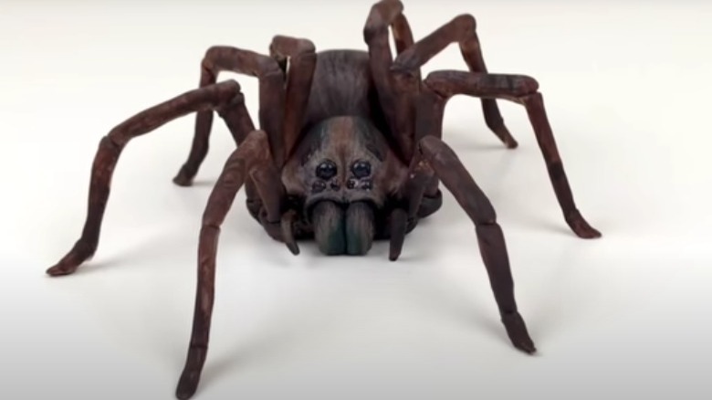 wolf spider cake