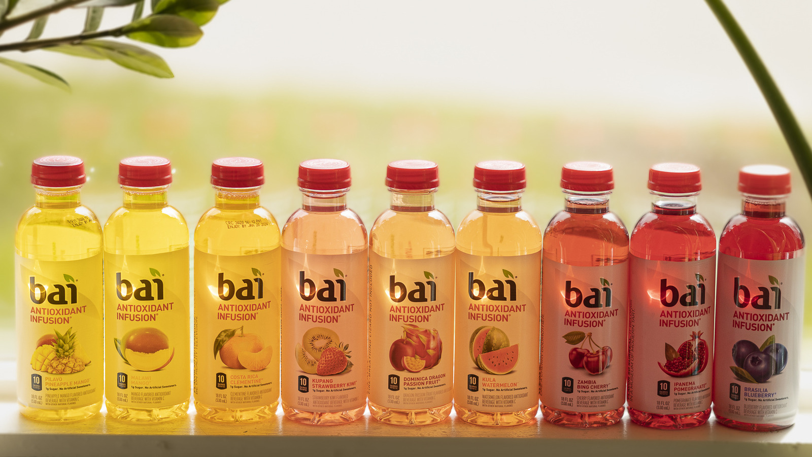 The 8 Best Bai Drinks, Ranked by Taste