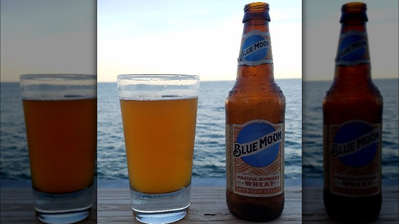 Blue Moon pacific apricot wheat