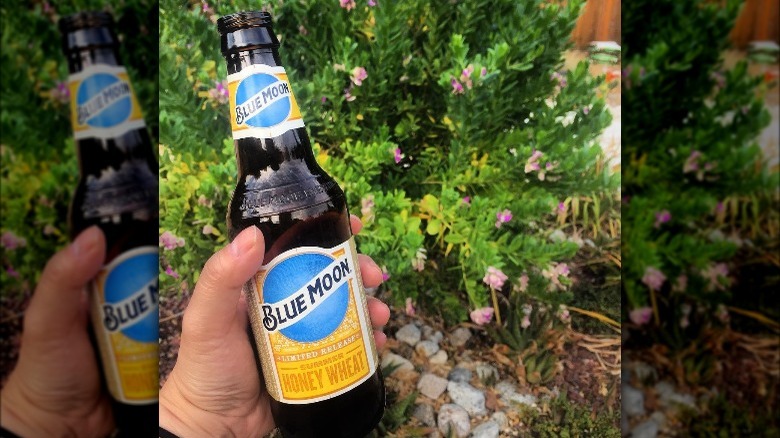 Blue Moon summer honey wheat 