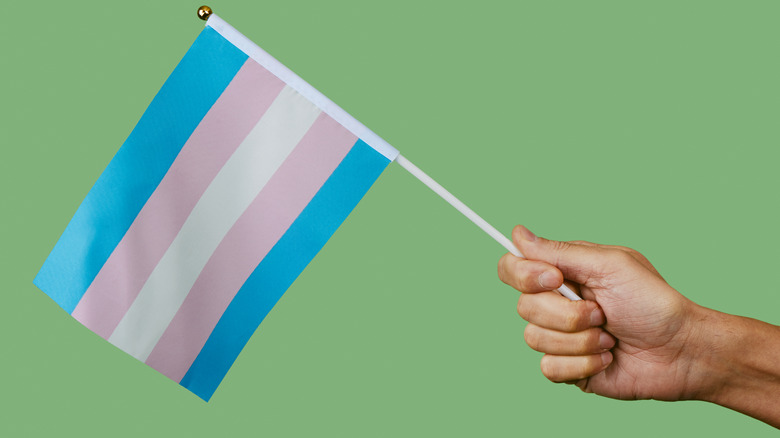 Transgender solidarity flag