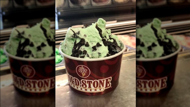 Mint Mint Chocolate Chip