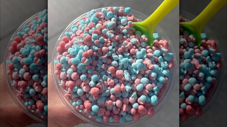 A bowl of Dippin' Dot's cotton candy flavor