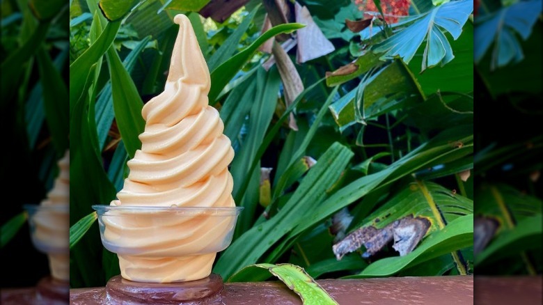 cup of orange dole whip in front of plants