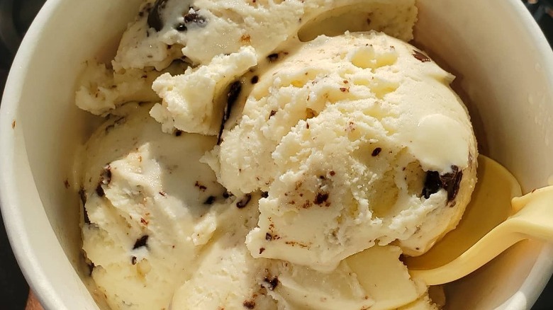 chocolate chip ice cream in cup