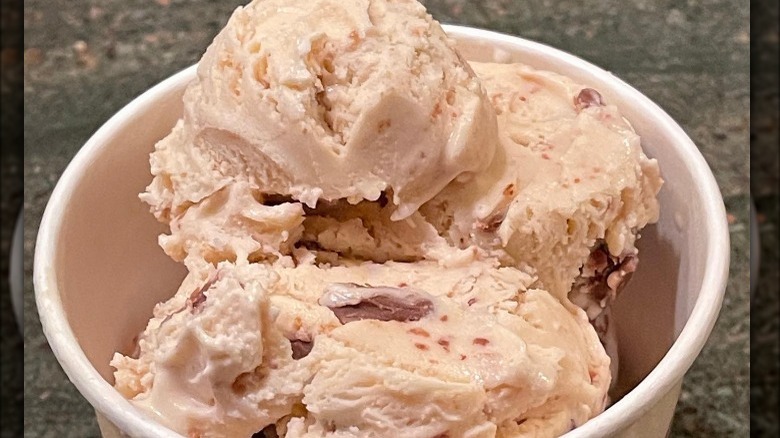 peanut butter chocolate chip ice cream in bowl