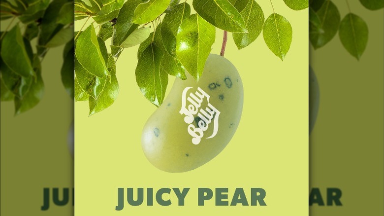 Juicy Pear jellybean hanging from a tree