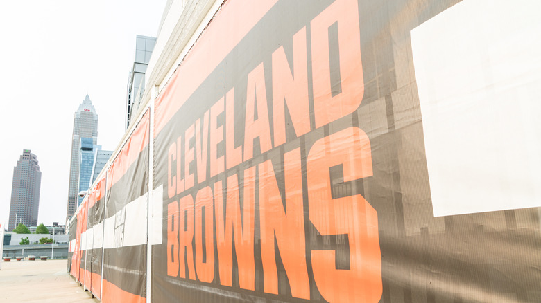 cleveland browns logo with skyline