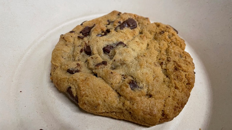 chocolate chip cookie close up