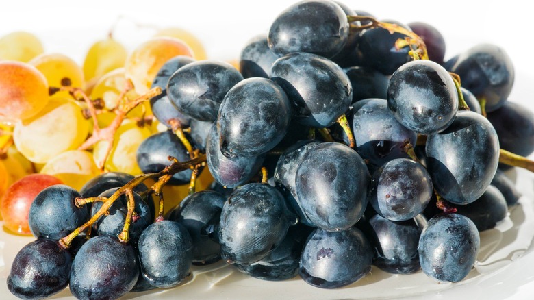 juicy concord grapes on table