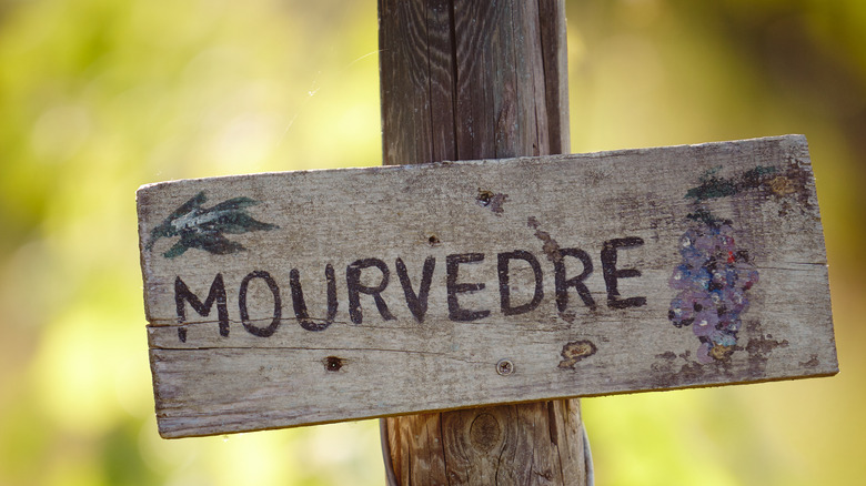 sign for Mourvedre in vineyard